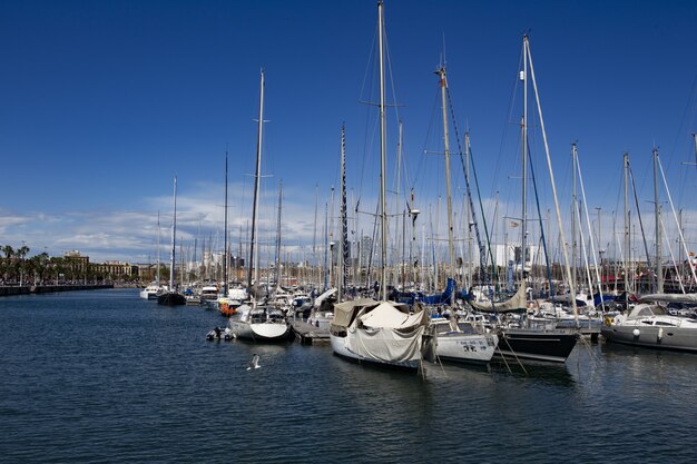 Bela vista de barcos à vela no porto sob o céu azul claro