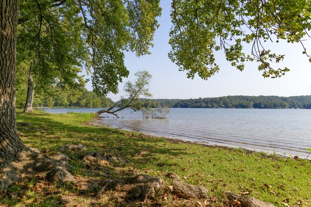 Bela vista de um lago em Arkansas, EUA