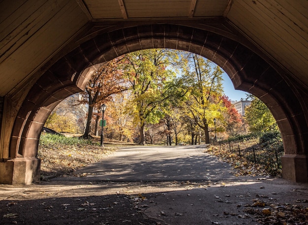 Bela vista de um parque de outono através de um arco de pedra
