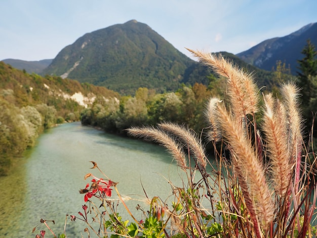 Bela vista de um rio cercado por montanhas arborizadas sob um céu claro