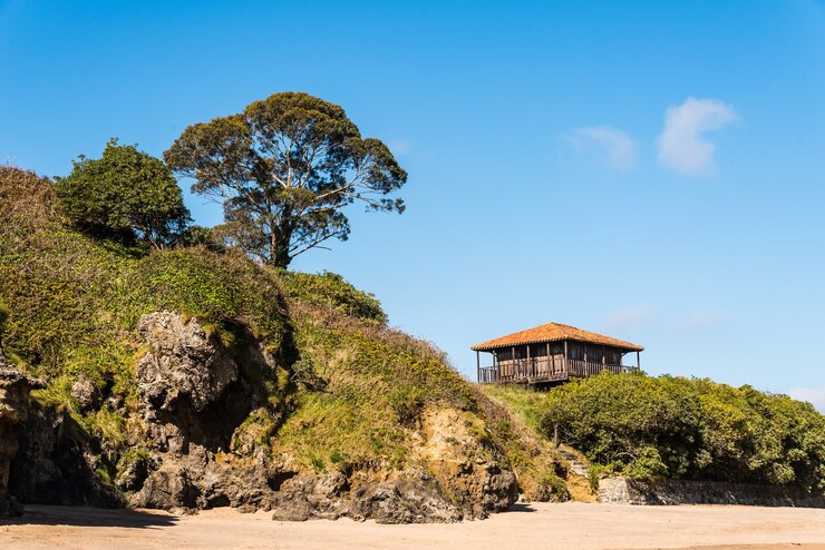 Foto grátis bela vista de uma casa velha perto da praia cercada por árvores e grama sob um céu azul