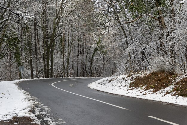 Bela vista de uma estrada cercada por árvores cobertas de neve