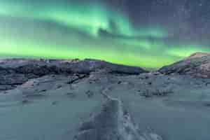 Foto grátis bela vista de uma paisagem noturna de inverno com luzes do norte, aurora boreal