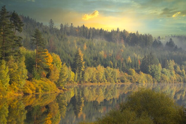 Bela vista do lago e das árvores da floresta em um dia nublado de outono