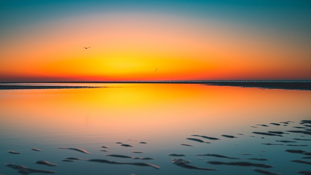 Bela vista do reflexo do sol no lago capturado em Vrouwenpolder, Holanda
