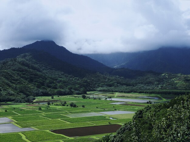 Bela vista dos campos verdes com as magníficas montanhas nebulosas