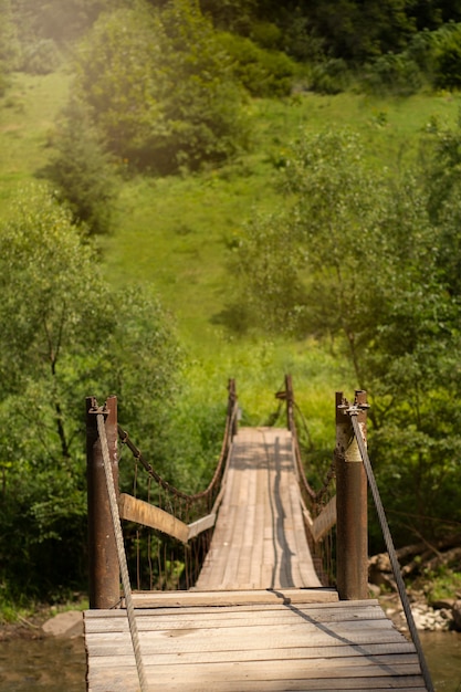 Bela vista rural com árvores