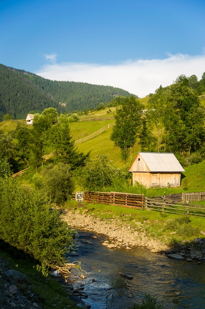 Belas colinas verdes nas montanhas dos Cárpatos, na Ucrânia.