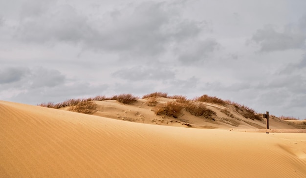 Belas dunas de areia na costa do mar sob o céu aberto nuvens em tempo nublado Arbustos ao fundo Fundo natural para design de verão