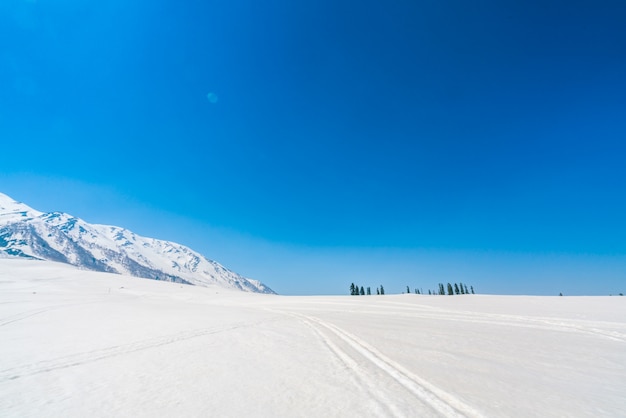 Belas montanhas cobertas de neve, estado da Caxemira, Índia.