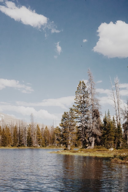 Foto grátis belas paisagens da natureza rural com colinas e árvores sob um céu azul nublado