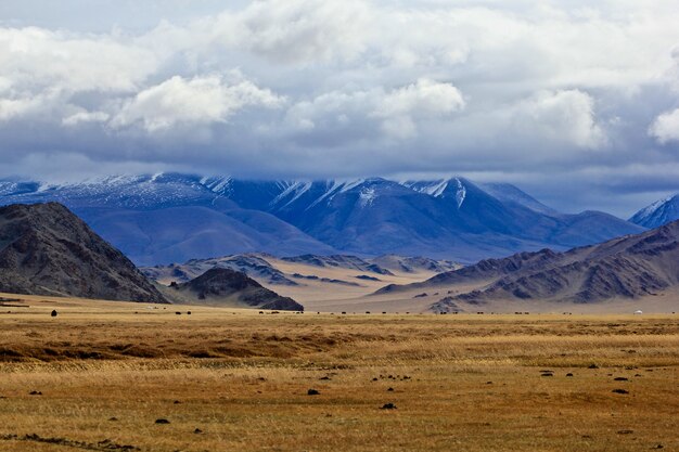 Belas paisagens da natureza selvagem e paisagem da Mongólia