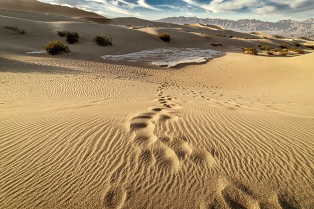 Belas paisagens das dunas de areia plana de Mesquite, Vale da Morte, Califórnia