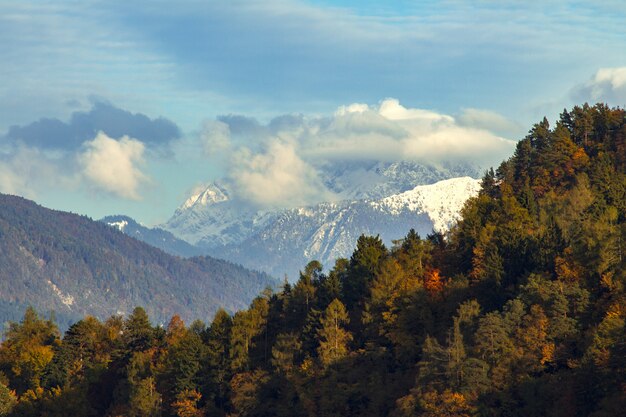 Belas paisagens de árvores verdes, rodeadas por altas montanhas em Bled, Eslovênia