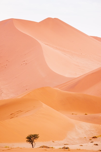 Belas paisagens de dunas de areia no deserto da Namíbia, Sossusvlei, Namíbia