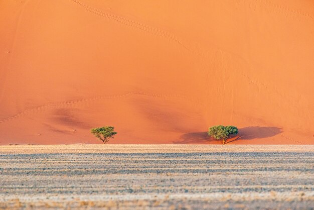 Belas paisagens de dunas de areia no deserto da Namíbia, Sossusvlei, Namíbia