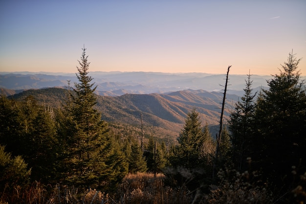 Belas paisagens de pinheiros com altas montanhas rochosas