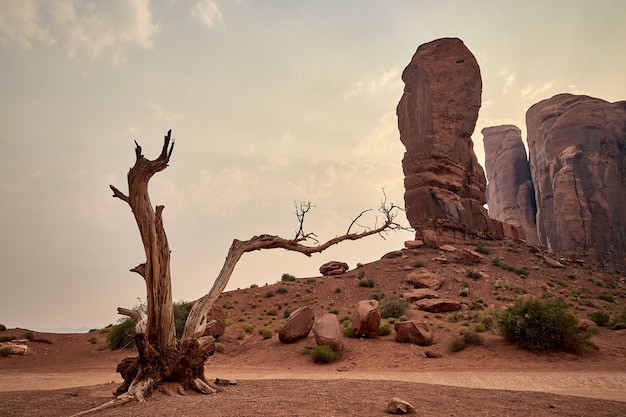 Belas paisagens de planaltos no parque nacional de bryce canyon, utah, eua