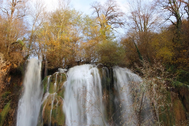 Belas paisagens de uma poderosa cachoeira cercada por árvores na floresta