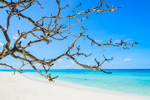 Belas praias tropicais