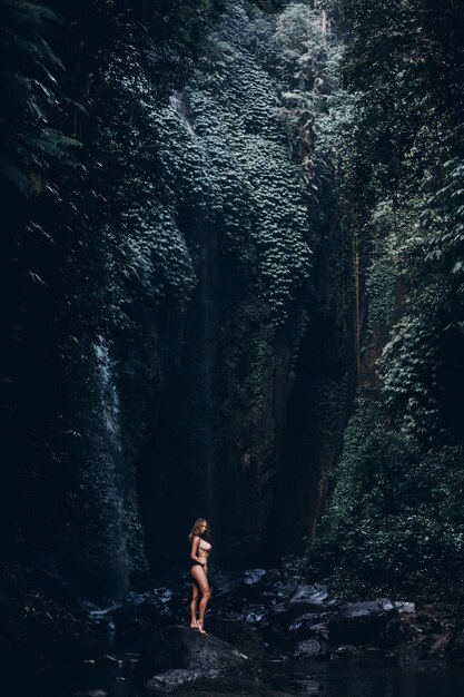 Beleza, mulher, posar, em, cachoeira, biquíni, incrível, natureza, ao ar livre, retrato