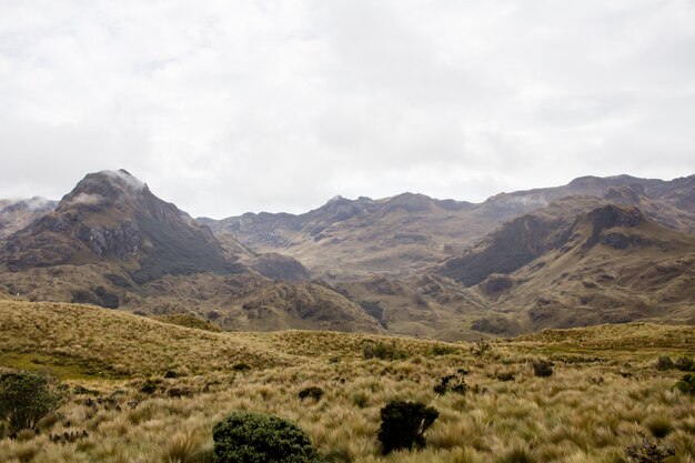 Belo campo com incríveis montanhas rochosas e colinas e céu nublado incrível