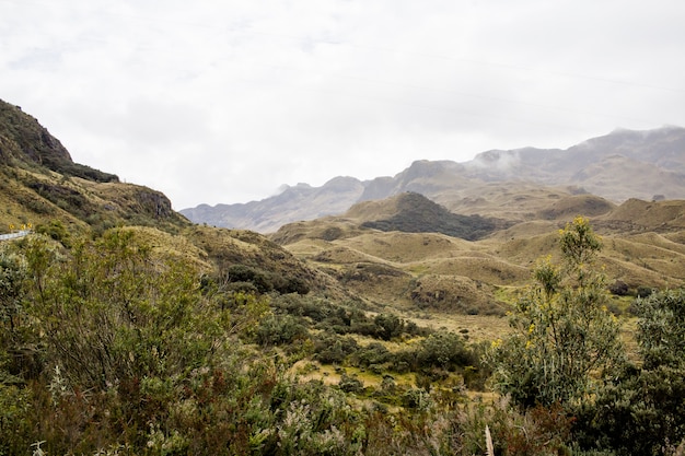 Belo campo com incríveis montanhas rochosas e colinas e céu nublado incrível