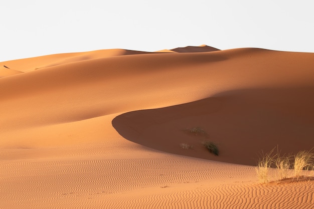 Belo cenário de dunas de areia em uma área deserta em um dia ensolarado