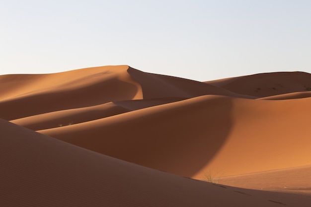Belo cenário de dunas de areia em uma área deserta em um dia ensolarado