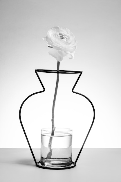 Belo design minimalista em preto e branco