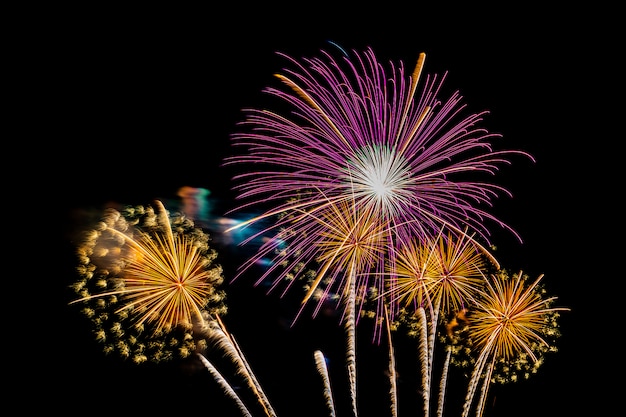 Belo fogo de artifício colorido exibir à noite para comemorar