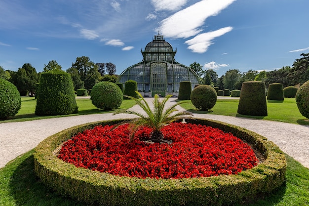 Belo jardim botânico do Palácio de Schonbrunn em Viena, Áustria