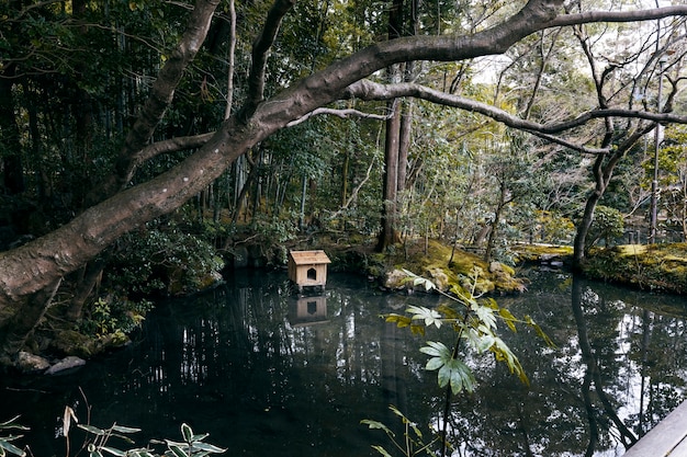 Belo jardim japonês