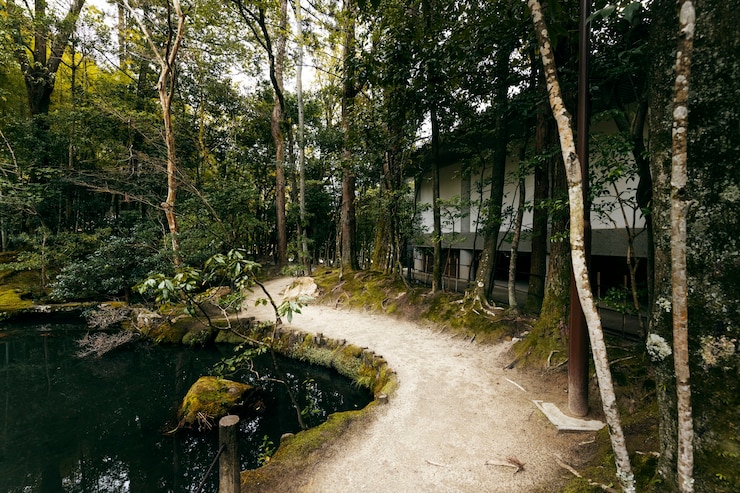 Foto grátis belo jardim japonês