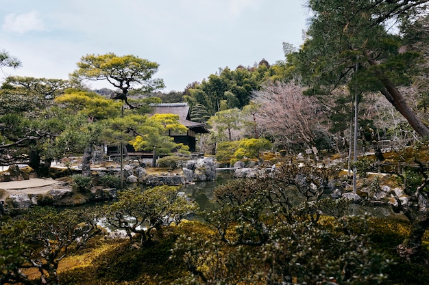 Belo jardim japonês