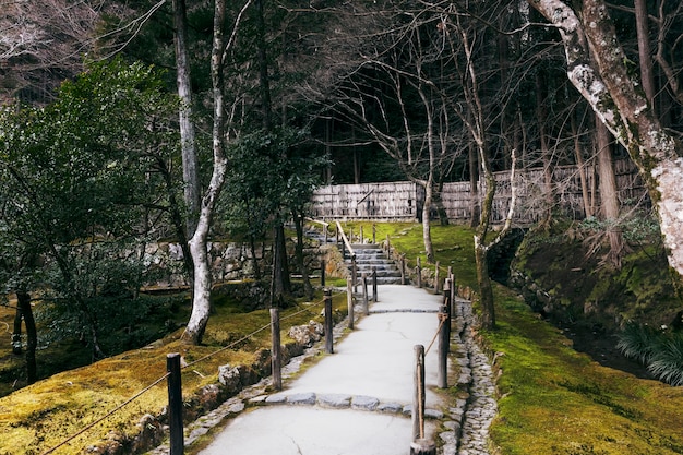 Belo jardim japonês