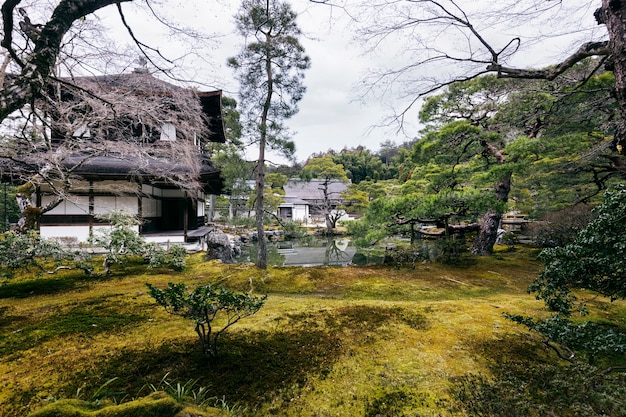 Foto grátis belo jardim japonês