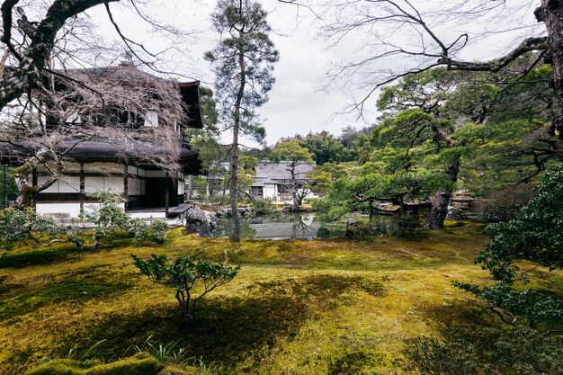 Belo jardim japonês