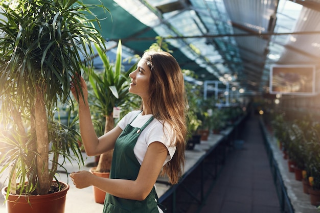 Foto grátis belo jardineiro cuidando de plantas em uma grande loja de estufas