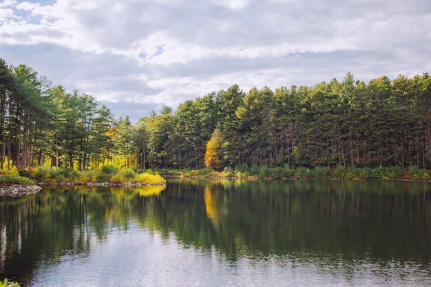 Belo lago em uma floresta com reflexos de árvores na água e no céu nublado