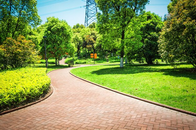 Belo parque da cidade