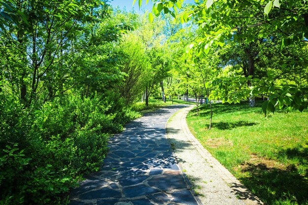 Belo parque da cidade