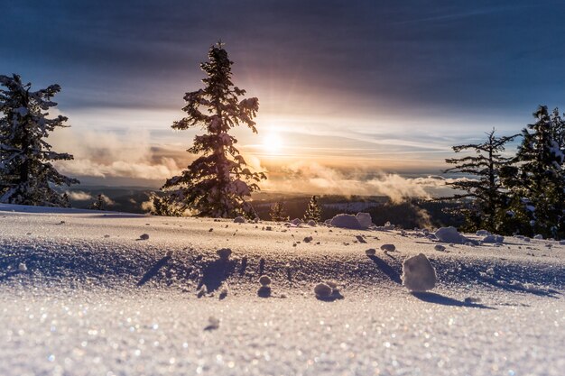 Belo pôr do sol e um campo nevado