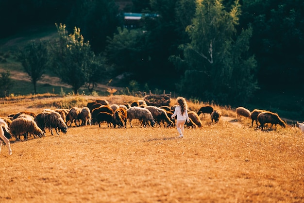 Foto grátis belo prado com uma menina e animais ovelhas