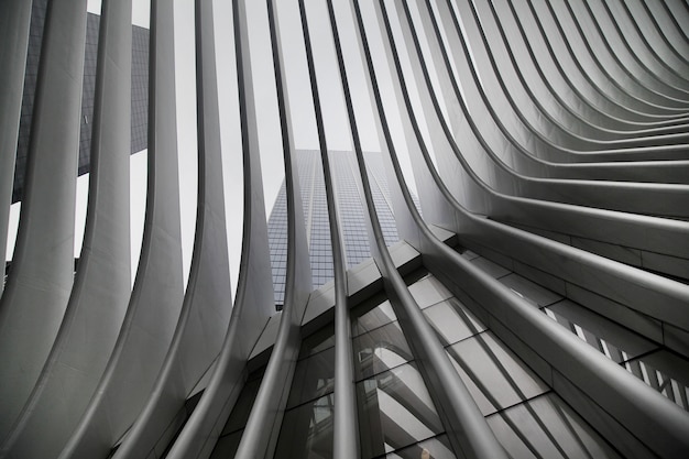 Foto grátis belo resultado em preto e branco da estação wtc cortlandt do new york city subway, também conhecida como oculus