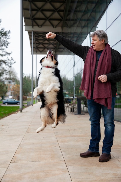 Foto grátis belo treinamento de cães border collie com o dono