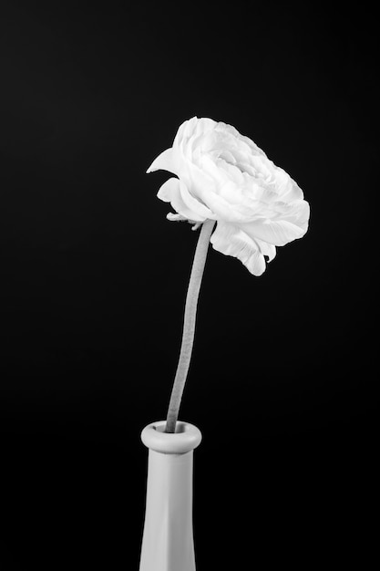 Belos desenhos minimalistas em preto e branco