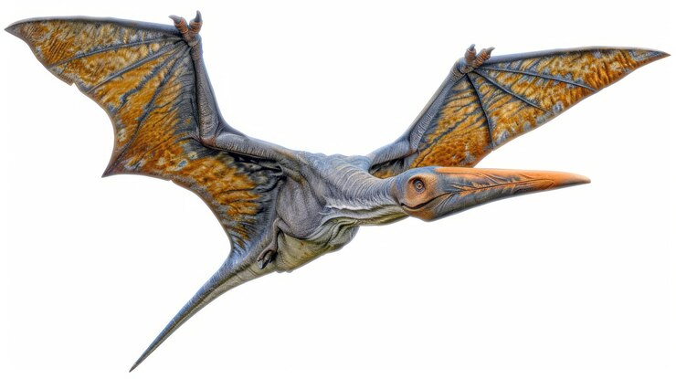 Foto grátis belos detalhes de pterodáctilo