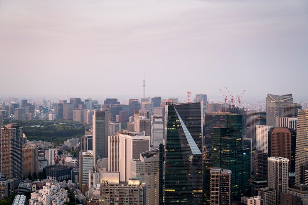 Belos edifícios altos de alto ângulo