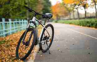 Foto grátis bicicleta branca em pé no parque. aptidão matinal, solidão.